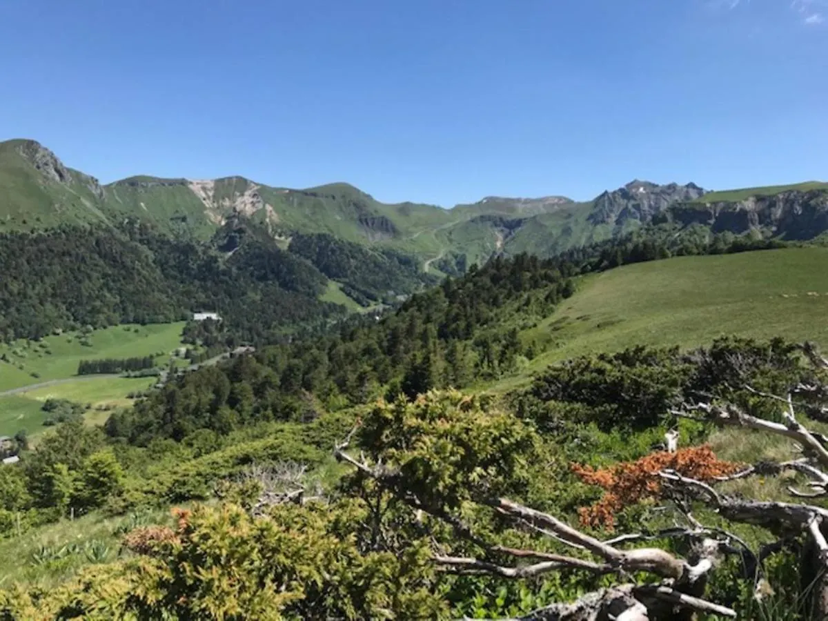 Apartment Beau T2 Calme Centre Mont-Dore - 1 Ch, Wifi, Ascenseur, Proche Thermes - Fr-1-608-104 France
